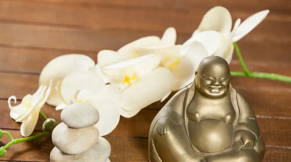 Jak aktywować strefę bogactwa według Feng Shui?