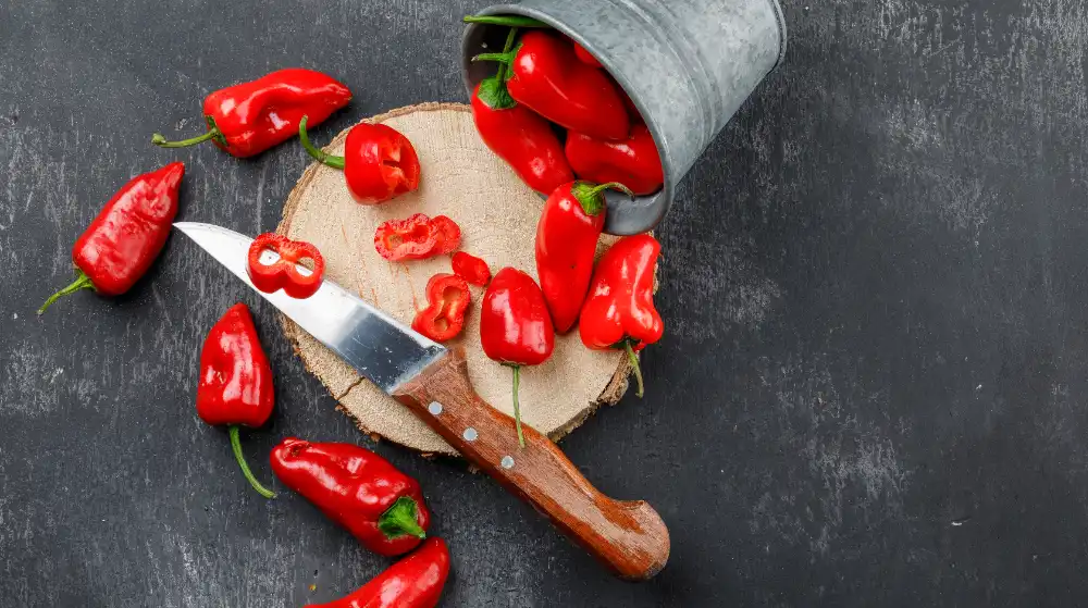 Papryczki chili w zalewie octowej