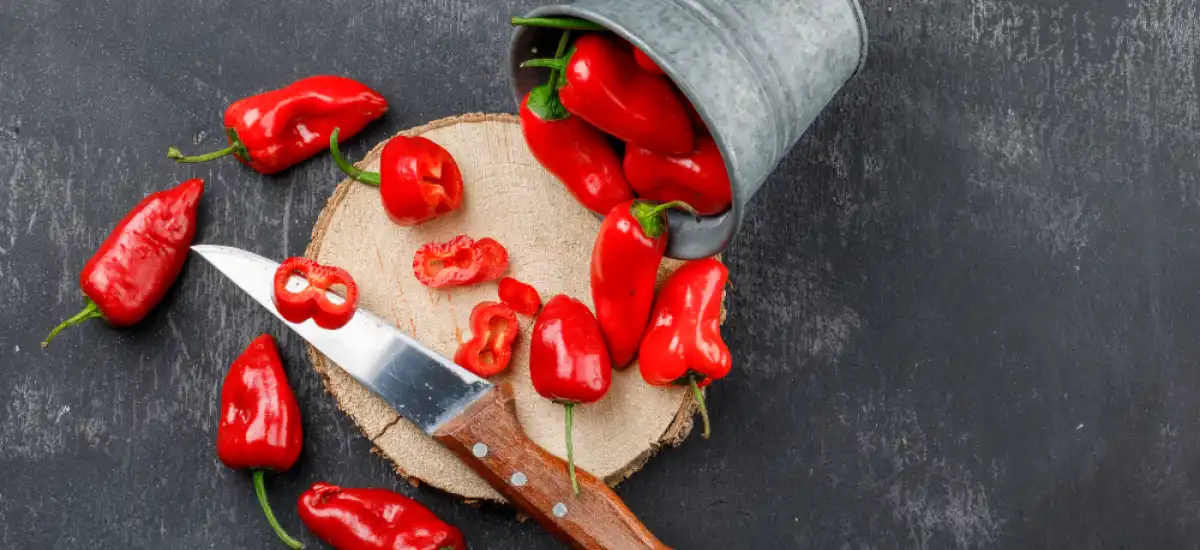 Papryczki chili w zalewie octowej