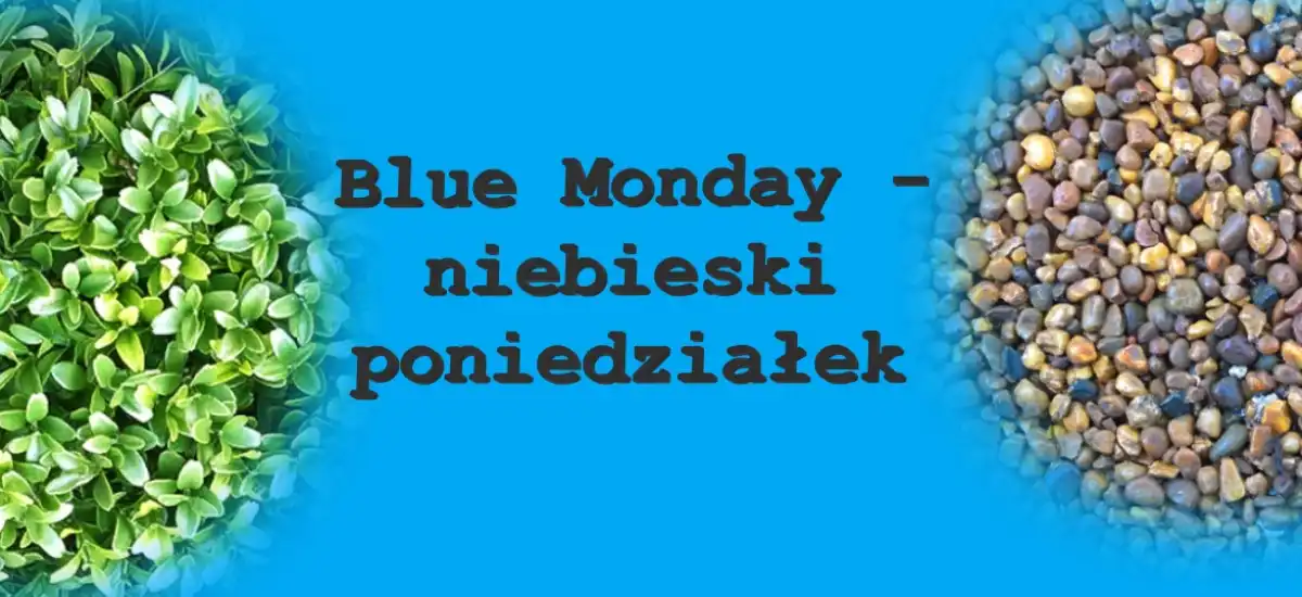 Wszystko o blue monady