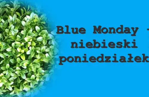 Wszystko o blue monady
