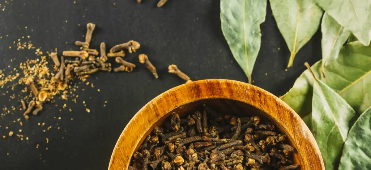 Ashwagandha – właściwości, zastosowanie i skutki uboczne