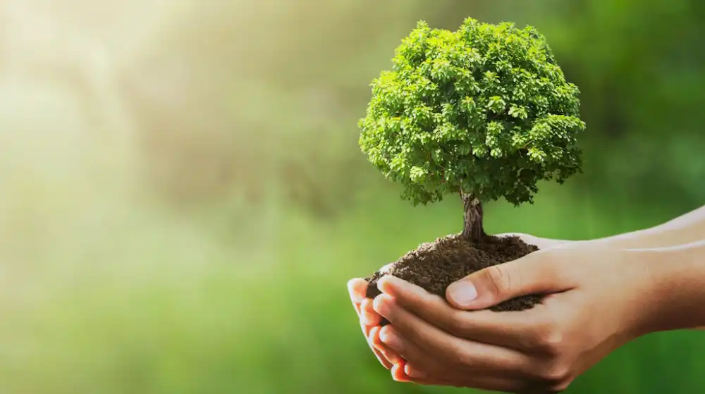 22 kwietnia – Światowy Dzień Ziemi. Dbajmy o planetę nie tylko od święta