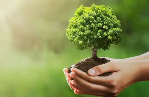 22 kwietnia – Światowy Dzień Ziemi. Dbajmy o planetę nie tylko od święta