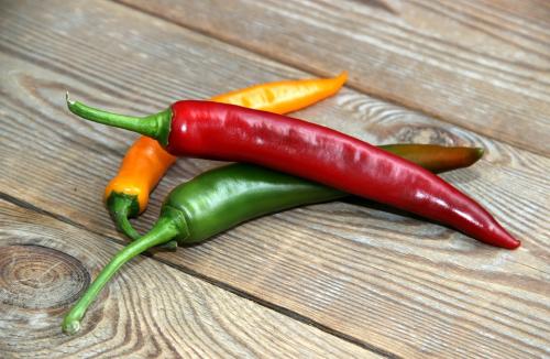 Odkrycia laureatów nagrody Nobla: Jak czujemy temperaturę i nacisk?