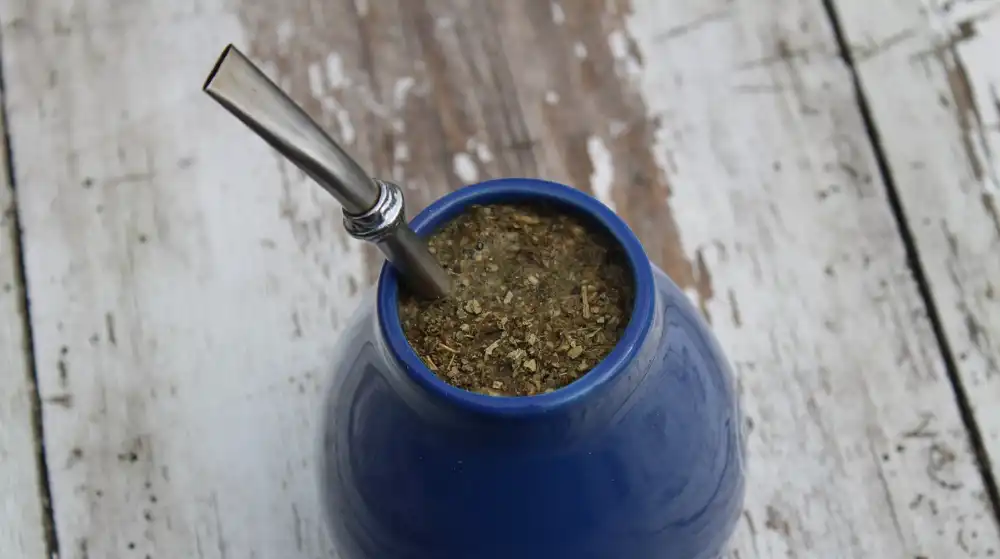 Yerba Mate - Jak przygotować i dlaczego warto pić?