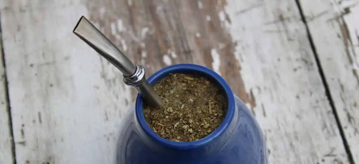 Yerba Mate - Jak przygotować i dlaczego warto pić?
